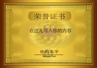 东城东城资质证书